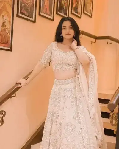 Escort Service In Electronic City